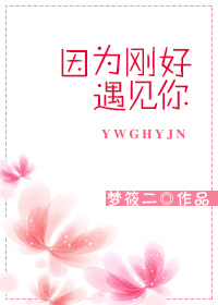 刚好遇见你歌词